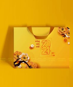 Túi giấy đựng quà Tết Hà Nội 03